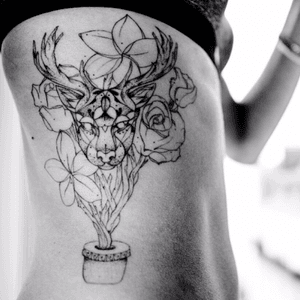chimera by the incredible #favry from #lencrerie #paris #flowers #rose #frangipani #chimera half #stag half #panther 
