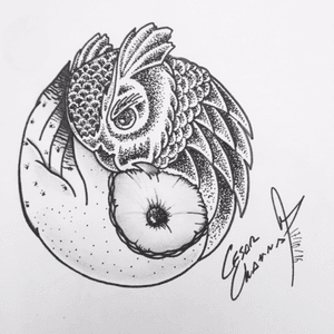 My version of Yin-Yang owls! Love it!
