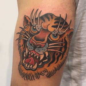 Sassy tiger done at the 2016 Bologna Tatttoo expo. 