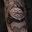 My next tattoo