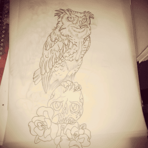 #owl #skull #roses