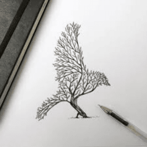 #megandreamtattoo #bird #Tree #Tattoo #Idea #AlfredBasha #drawing 