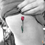 Nº243 Little Tulip #tattoo #tatuaje #littletattoo #ink #inked #tulip #tuliptattoo #flower #flowertattoo #green #red #eternalink #bylazlodasilva