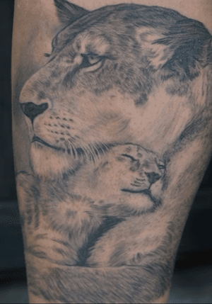 Lioness lion cub tattoo