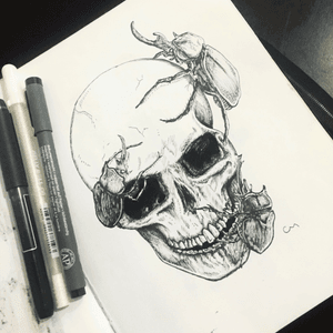 #megandreamtattoo #illustration #skull #blackwork 