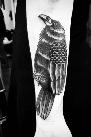 Traditional black crow ( cover up) 