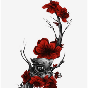 This is my #megandreamtattoo 😍 Something similar to this but with the gorgous Megan Massacre touch - softer tones to suit my pale complexion, a more realistic owl and would love to intertwine rolls of film into it or some green ferns as well ☺️