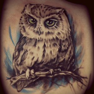 My first tattoo done by Mez at Tattoo Boogaloo #tattooboogaloo #mez #owl #tattoo #firsttatoo 