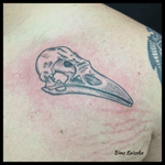 Crane de piaf☠️ #bims #bimskaizoku #bimstattoo #tatouage #tatouages #paris #paname #paristattoo #crane #skull #birdskull #bird #piaf #love #hate #instagood #instatattoo #txttoo #blxckink #tattoo #tattoos #tattooartist #tatt #tattooart #tattoowork #tattoostyle #tattoolover #tattooink #tattoolife 