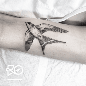 By RO. Robert Pavez • Little Swallow • Studio Nice Tattoo • Stockholm - Sweden 2016 #engraving #dotwork #etching #dot #linework #geometric #ro #blackwork #blackworktattoo #blackandgrey #black #tattoo 