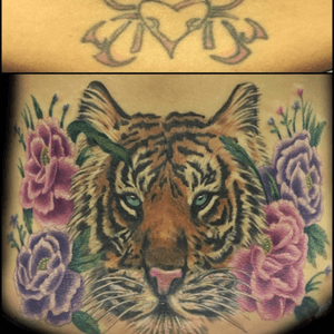 Tiger cover up