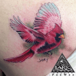 Tattoo by Lark Tattoo  artist PeeWee #bird #birdtattoo #cardinal #cardinaltattoo #animaltattoo #wildlifetattoo #nature #naturetattoo #colortattoo #tattoo #tattoos #tat #tats #tatts #tatted #tattedup #tattoist #tattooed #tattoooftheday #inked #inkedup #ink #tattoooftheday #amazingink #bodyart #tattooig #tattoosofinstagram  