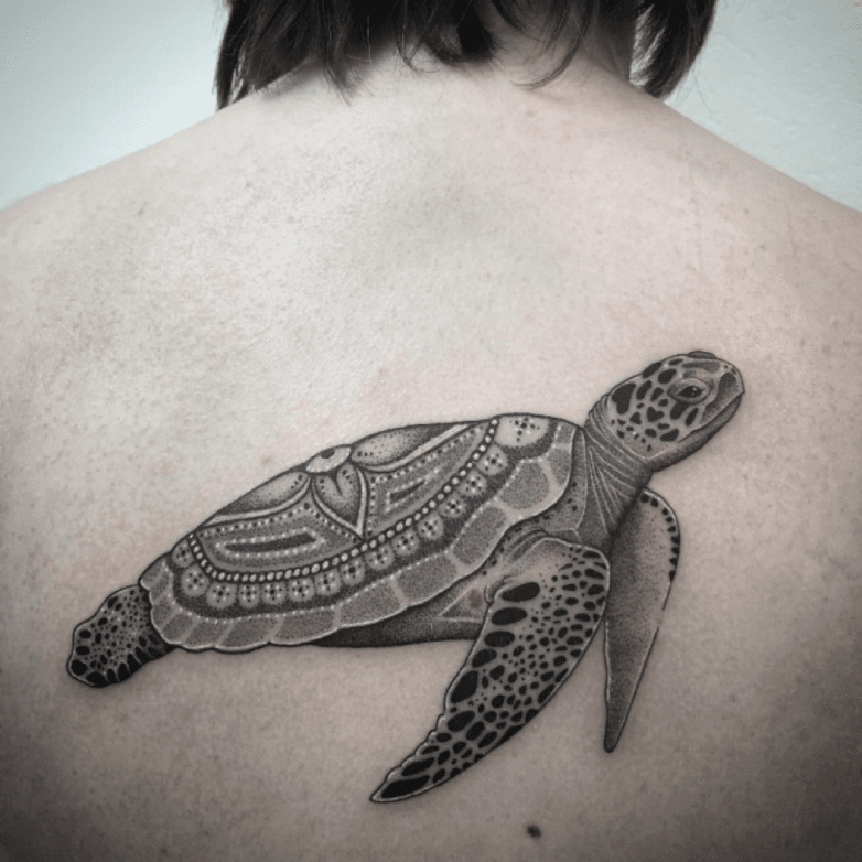 15 Mandala Turtle Tattoo Designs  PetPress