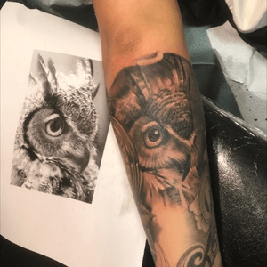 Owl realistic #owl #tattoo #realism 