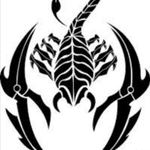 My Scorpion Design