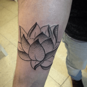 🕸💀. #lotus #lotusflowertattoo #pontilhismo #dotwork #fineline #tattoogirls #inkedgirls #Tattoodo #tatuadoresbrasil 