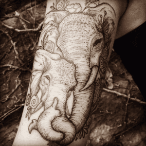 Elephant represent family for me #megandreamtattoo 