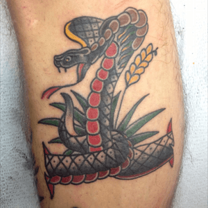 Cobra from 2013 at the old Lone Star Tattoo Jupiter. #lonestartattoo 