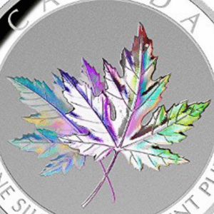 The leaves to represent Canada, behind the right ear. 