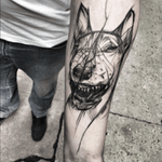 #angry #dog #sketch #sketchtattoo on #forearm by #ineepine @ineepine of #poland 