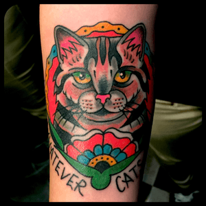 "Boys whatever, Cats forever" #cattattoo #Cattoo 