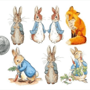 My childhood was Peter Rabbit tales. So there is no doubt that he will appear somewhere on my body sometime in the future. #peterrabbit #beatrixpotter #childhoodmemories #rabbit #nostalgia 