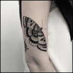 #totemica #tunguska #black #moth #butterfly #insect #entomology #tattoo #blackworkers #holdfasttattoostudio 