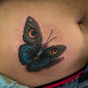 Mariposa Buho Tecnica Realismo color