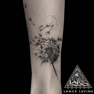 Tattoo by Lark Tattoo artist Lance Levine. See more of Lance's work here: http://www.larktattoo.com/long-island-team-homepage/lance-levine/ . . . . . #dandelion #dandeliontattoo #dandelionflower #dandelionflowertattoo #flower #flowertattoo #bng #bngtattoo #bnginksociety #blackandgraytattoo #blackandgreytattoo #tattoo #tattoos #tat #tats #tatts #tatted #tattedup #tattoist #tattooed #inked #inkedup #ink #tattoooftheday #amazingink #bodyart #tattooig #tattoosofinstagram #instatats #larktattoo #larktattoos #larktattoowestbury #westbury #longisland #NY #NewYork #usa #art #lance #levine #lancelevine 