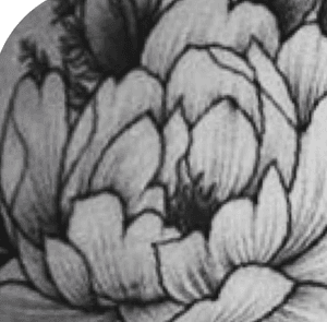 Flower of the day #flower #tattooartist #tattoos #tattooflowers #japanesetattoo #peony #tattooblackandgrey #blackandgrey #bnginksociety #sweden #tatuering #tatuerare #ink #inkedmag #swedishtattoos #bodyart #art #killerink 