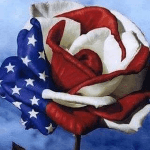 #megansreantattoo Honoring America  with a Love Patriotic Flower 