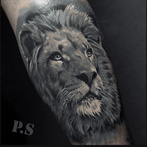 Nicely done! #lion #realistic 