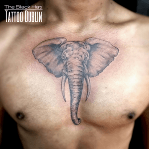 Last one of the day. What a beautiful elephant on the chest! .Follow us on instagram @theblackhattattoo.#elephant #elephanttattoo #tattoo #tats #chesttattoo #realistictattoo #realisticblackandgray #blackandgreytattoo #blackandgrey #tattoo #tats #dublin #dublintattoo #dublintown #blackhatdublin @theblackhattattoodublin
