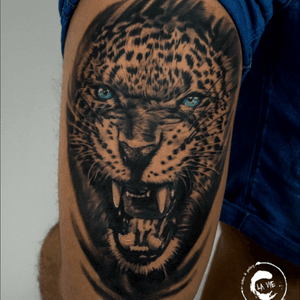 Snowleopard, black & grey, realism, animal