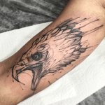 Aguia #aguia #eagle #sketch #LeoValquilha #mrtorture 