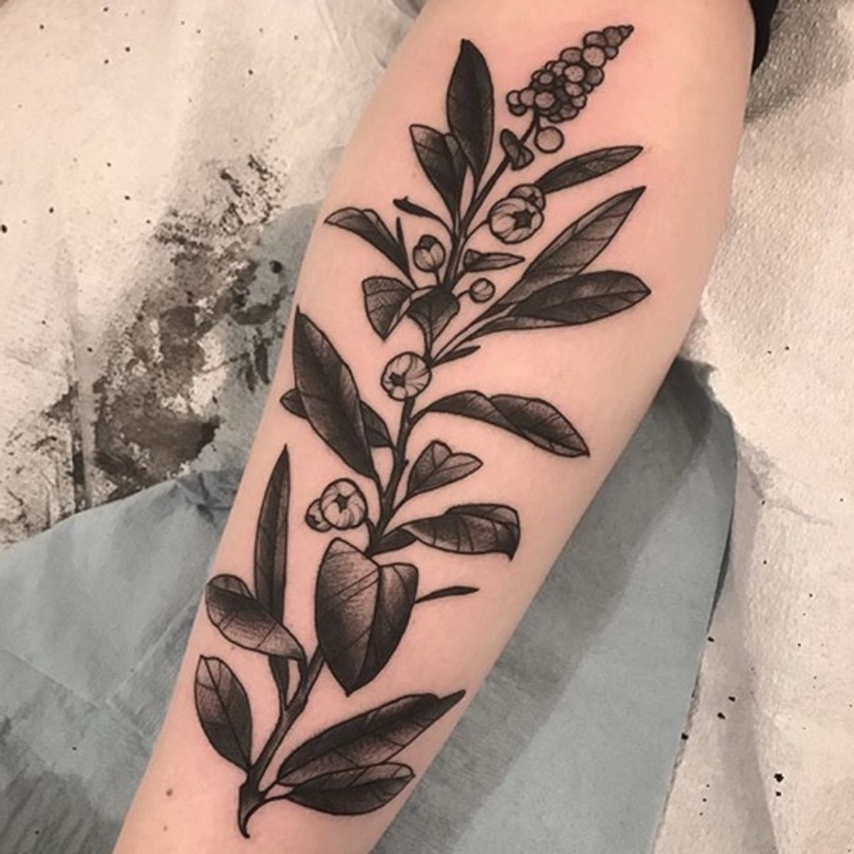 Tattoo uploaded by Fable Tattoo Gallery • Blueberry Branch Tattoo by