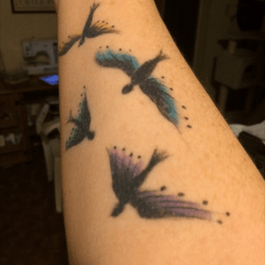 Each bird represents a member of my son's family, with a color for them.