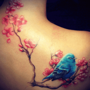 Pretty blue bird #bluebird #bird #flowers #cherryblossom 
