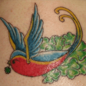 Swallow with bed of clovers and four leaf clover in its mouth