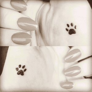 Paws for my animal babies