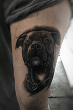Core the amstaff mix #dog #portrait #amstaff #blackandgrey #tattooartist #artist #realism #realistic #austria #bastibarramundi #waxxx #tattoooftheday
