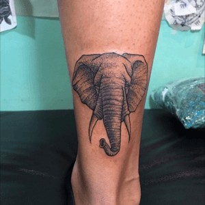 By tentass in commond ground tattoo BKK #elephanttattoo #elephant #dotworktattoo #blackwork #dotwork #elephanthead  #lowerleg 