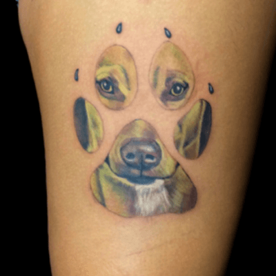 Color dog portrait