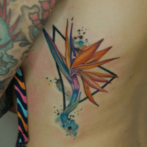#birdofparadise #flower #colour by #keltaittattoo @kel.tait.tattoo 