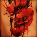 #megandreamtattoo Im looking for something like this but not exact. I would love Megan to create something more original. I've been in recovery from drug and alcohol dependency for about two and half years now. Heroin being my drug of choice, I'm looking to tell a piece of my story threw a tattoo. Poppy flowers seem to be the most fitting. Some may call it morbid but I see it as symbol of something so beautiful coming from something that can be so deadly and evil. A choice i've made is to see the beauty in me and the evil is just part of my journey. 