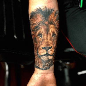 Did this today. 7 hours @savagetattooOgden #LionTattoo #tattoooftheday #realism #realistictattoos #realistictattoo 