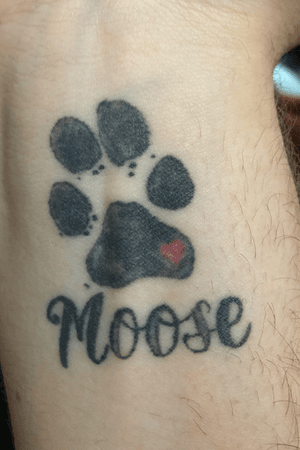 Loving memory of my dog of 12 years moose