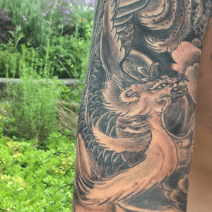 #blackandgrey #japanesetattoo #tattooartist #phoenixtattoo #belgium #japanese #jaoan #phoenix #phoenixtattoo 