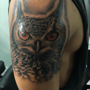 Owl Portrait // #owl #portrait #tattoo #tat #PuertoRico #Blackandgrry 