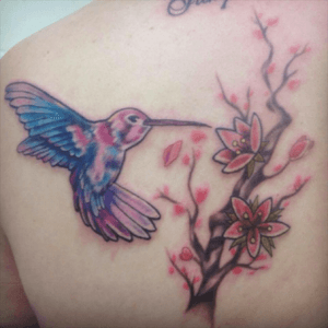 Little hummingbird and cherryblossoms  done a while ago 🌸🌸💐💕🌸🐥